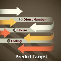 Juwai Teer target 